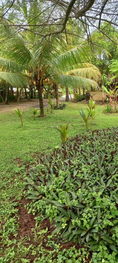 Selong Belanak Bungalows Esterno foto